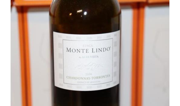 plm 24 flessen à 75cl witte wijn Monte Lindo Chardonnay-Torrentes, 2006